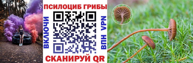 Псилоцибиновые грибы ЛСД  mega маркетплейс  Борисоглебск 